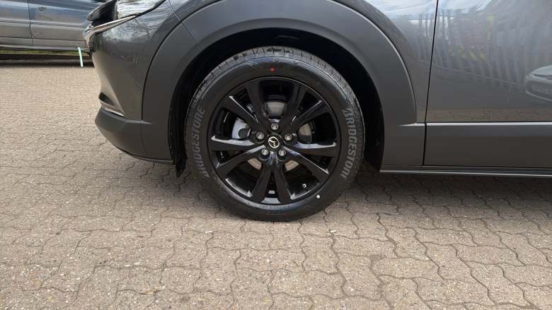 Mazda CX-30 2.5 e-Skyactiv G MHEV [140] Homura 5dr Auto Petrol Hatchback